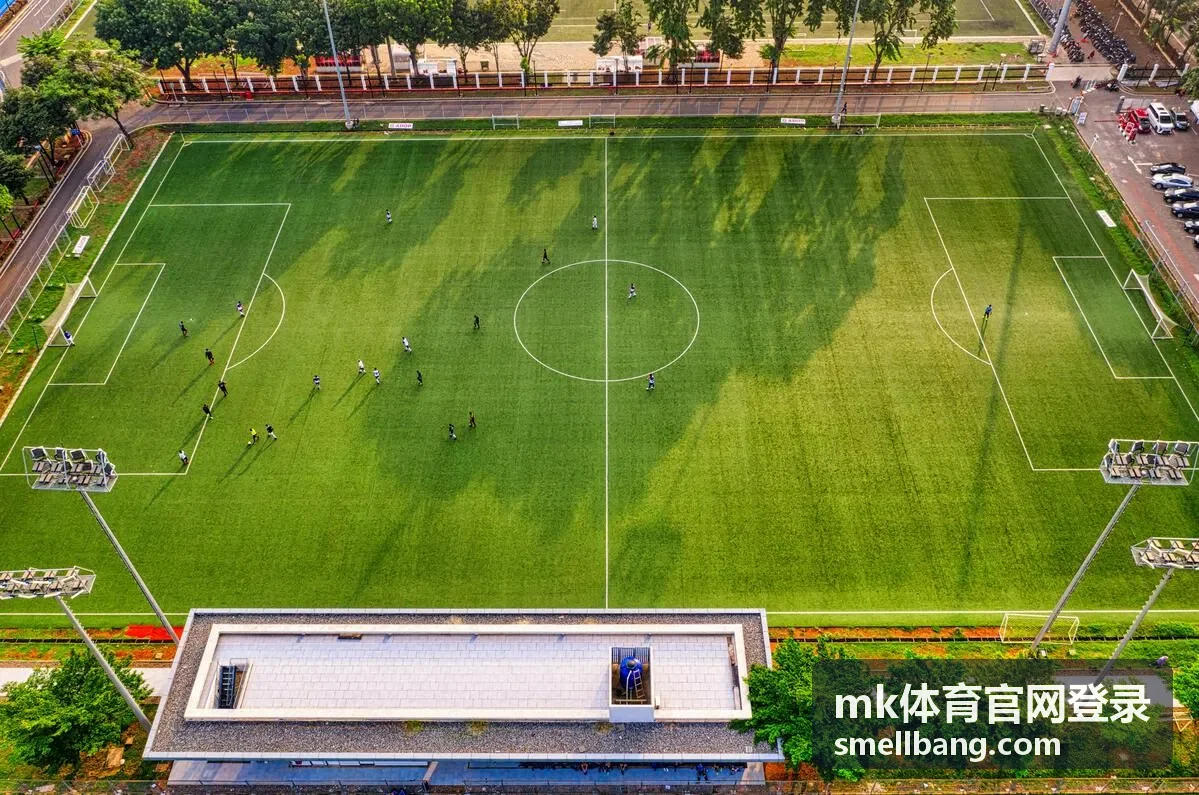 办公网络环境下排查mk体育官网登录阻塞的场景